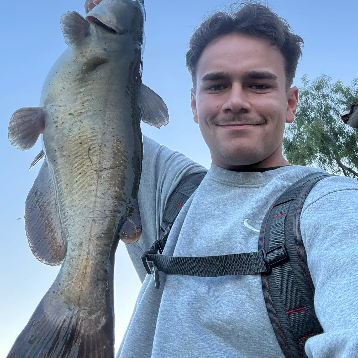The most recent Channel catfish catches on Fishbrain