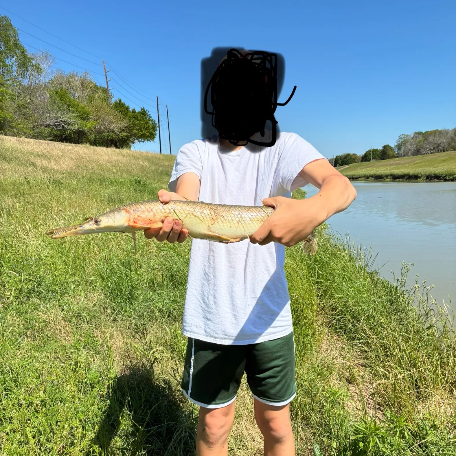 The most recent Shortnose gar catches on Fishbrain
