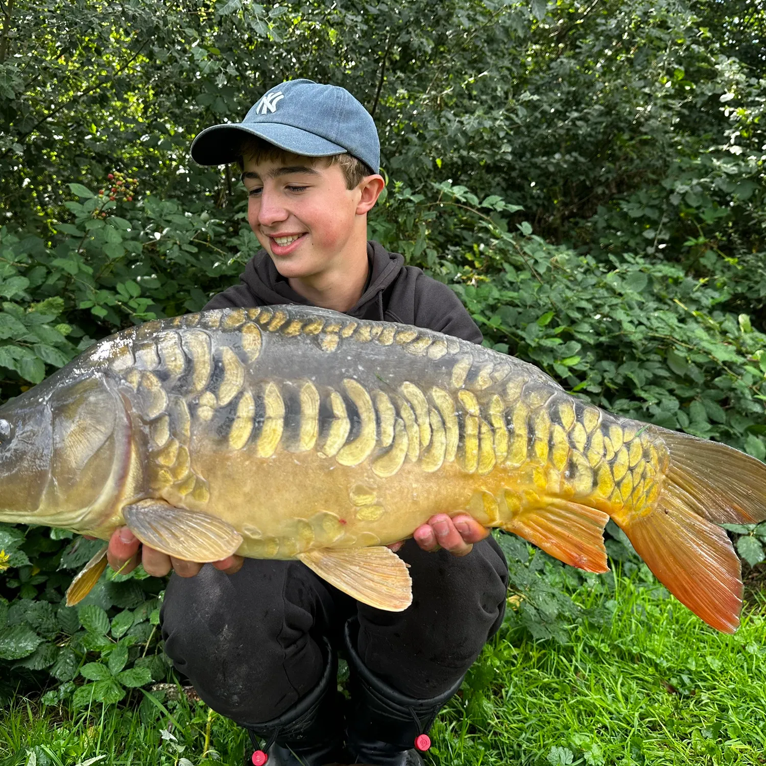 Mirror carp caught on Fishbrain