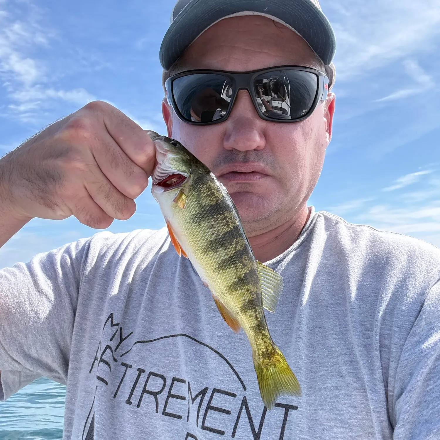 Yellow perch caught on Fishbrain