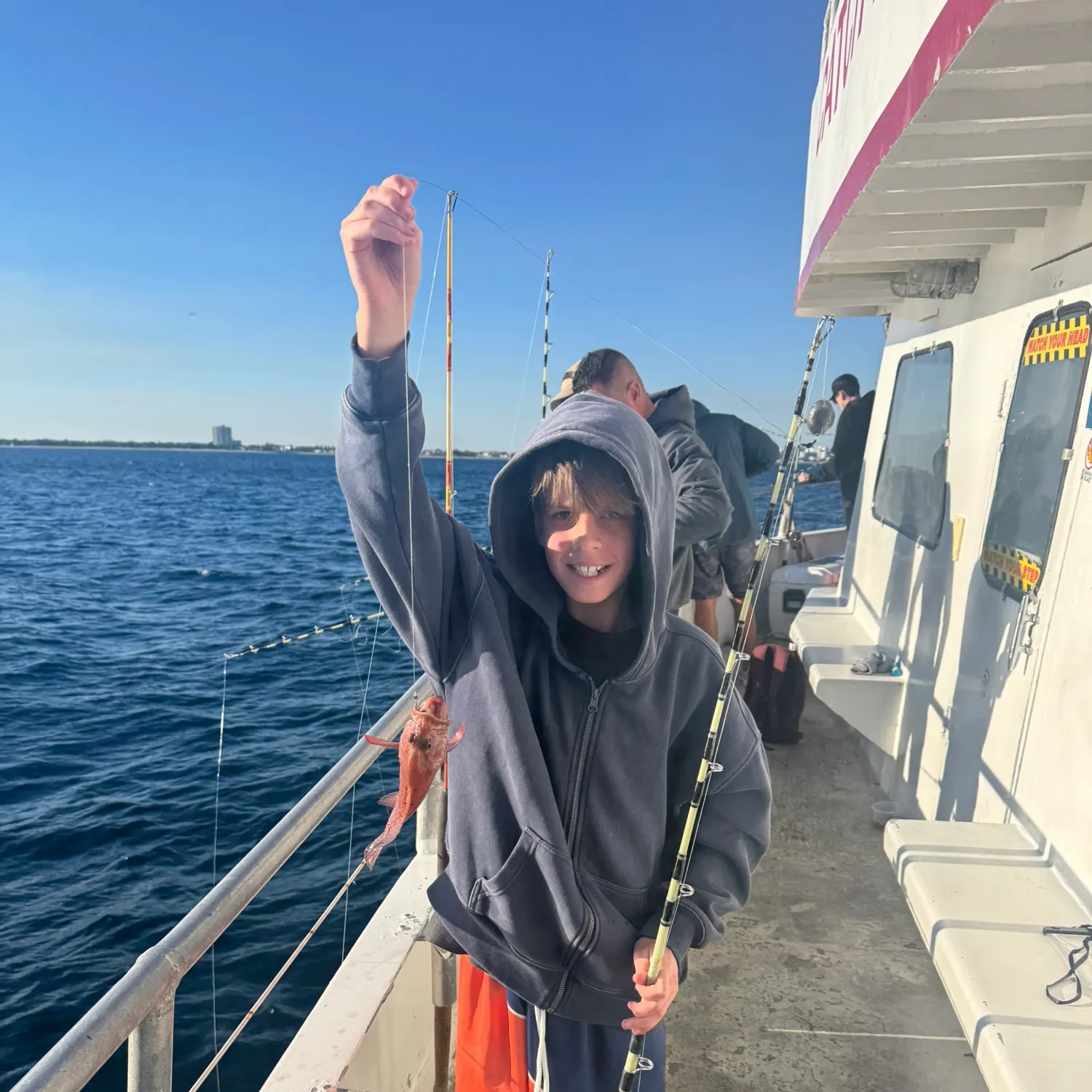 The most recent Strawberry hind catches on Fishbrain