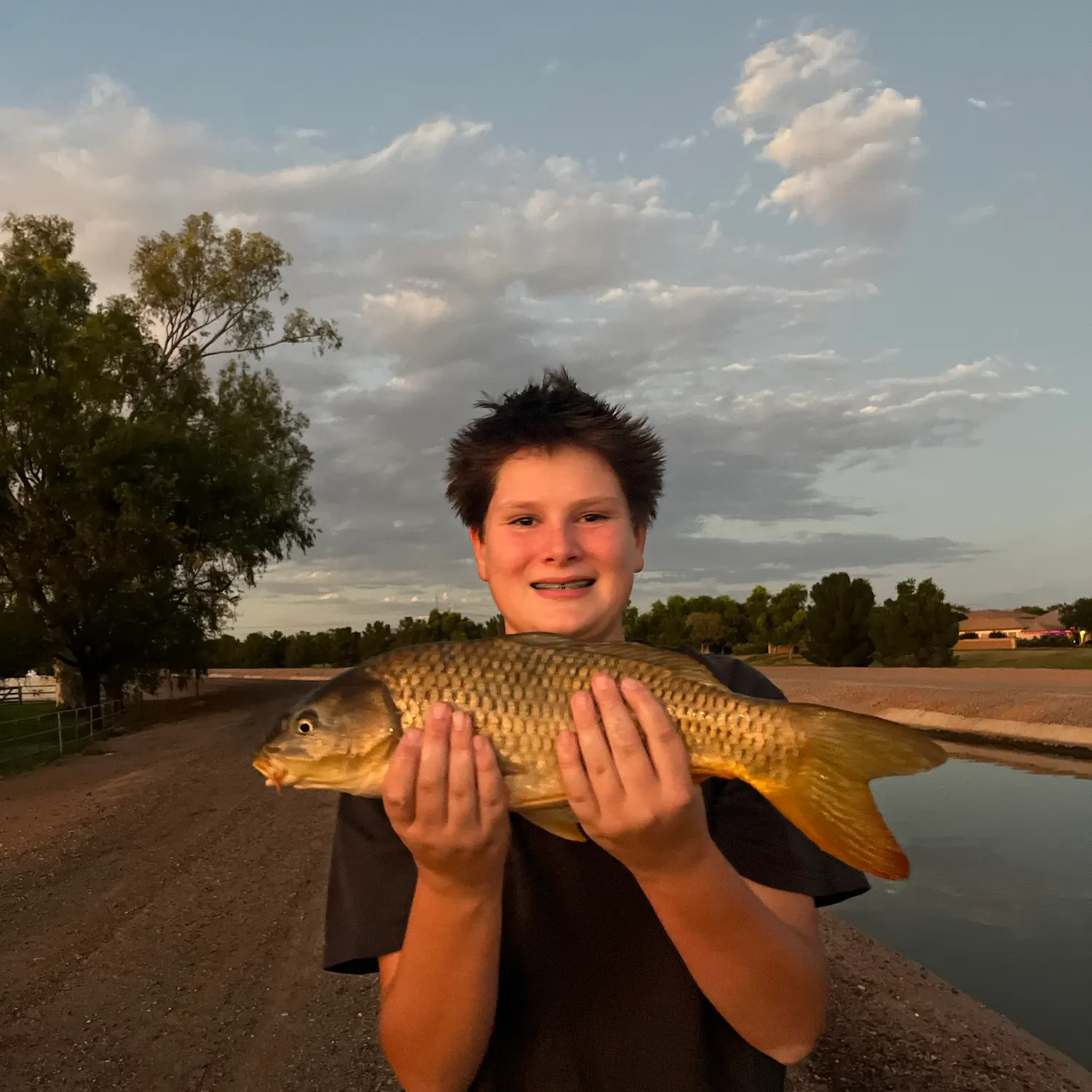 Common carp caught on Fishbrain