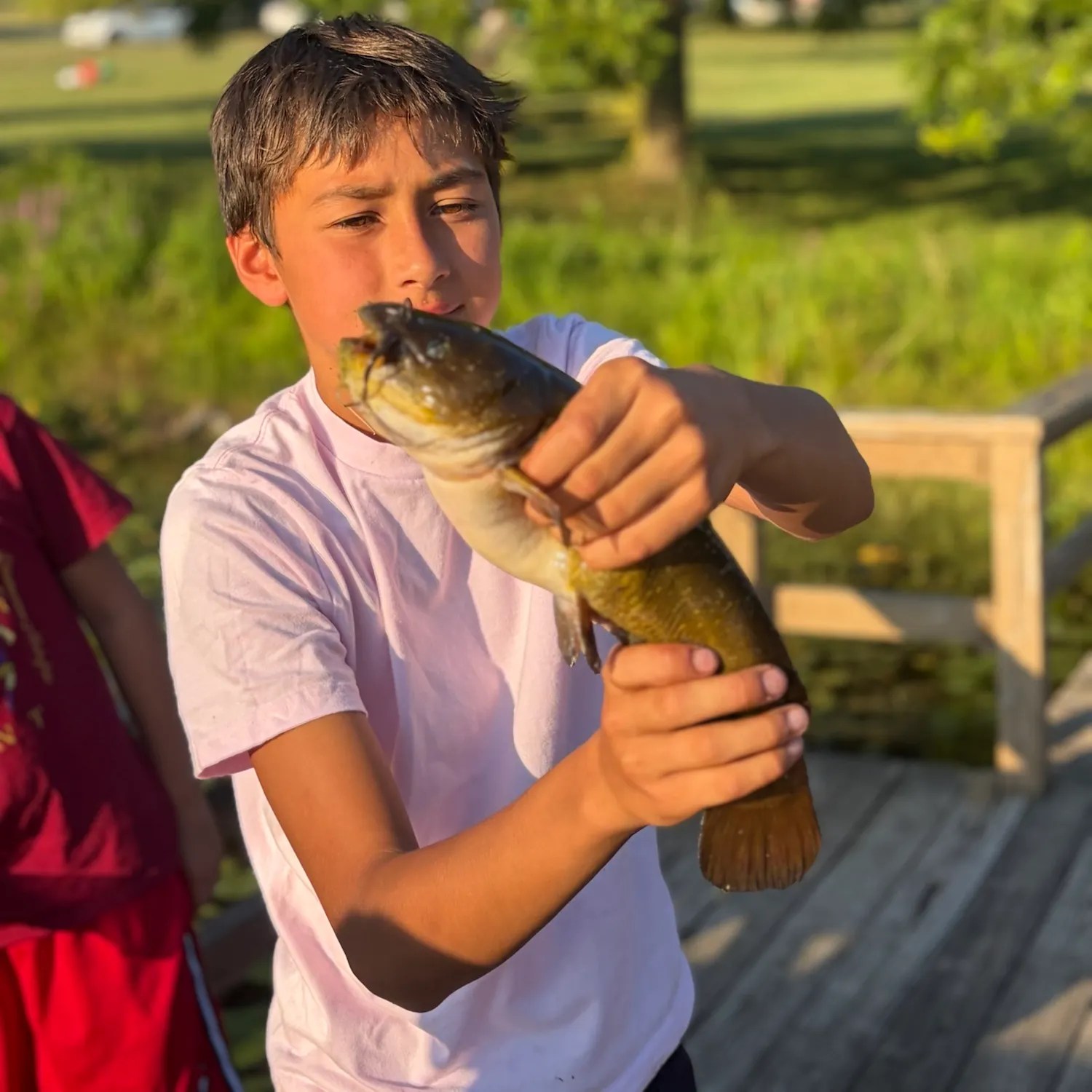 Fish caught on Fishbrain