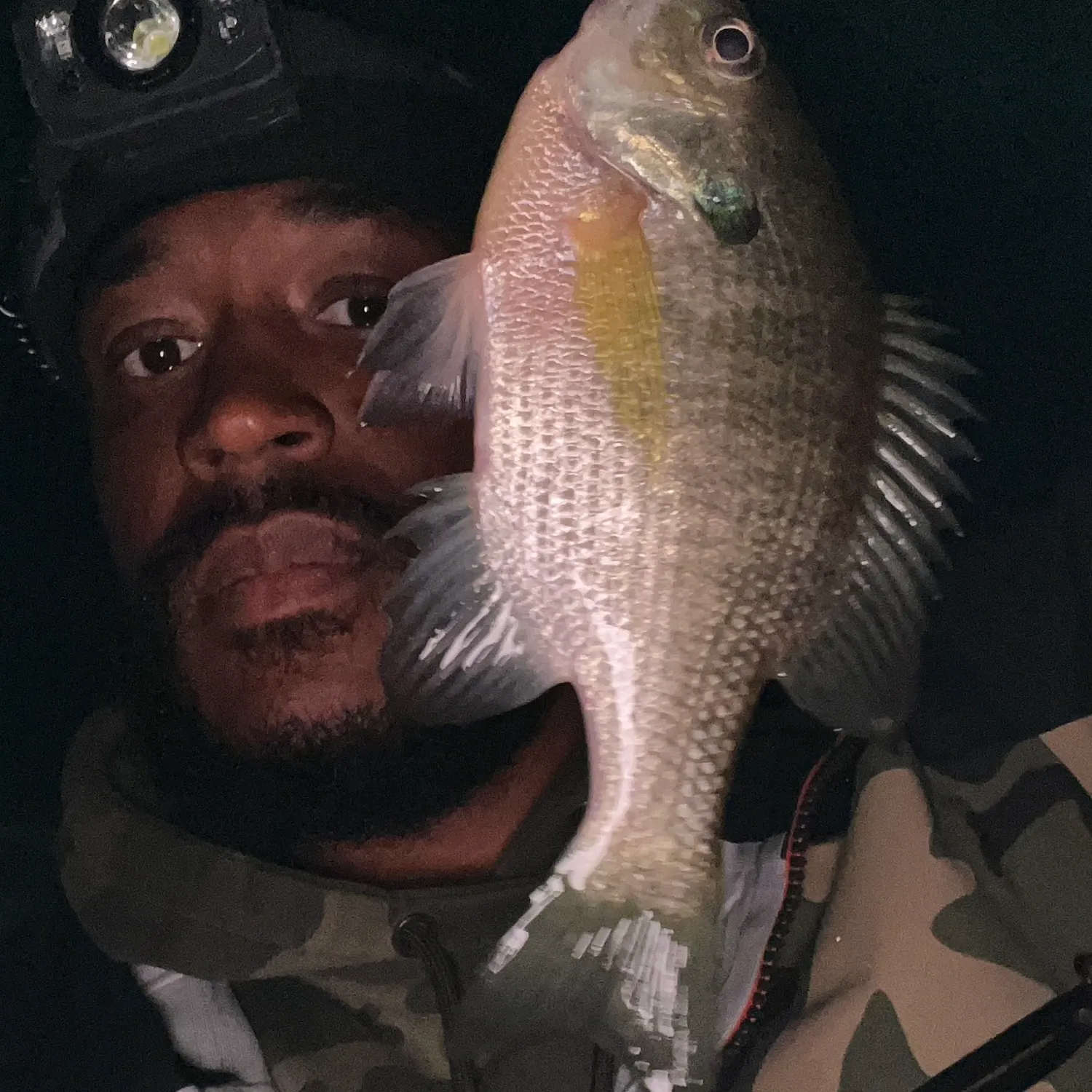 Bluegill caught on Fishbrain