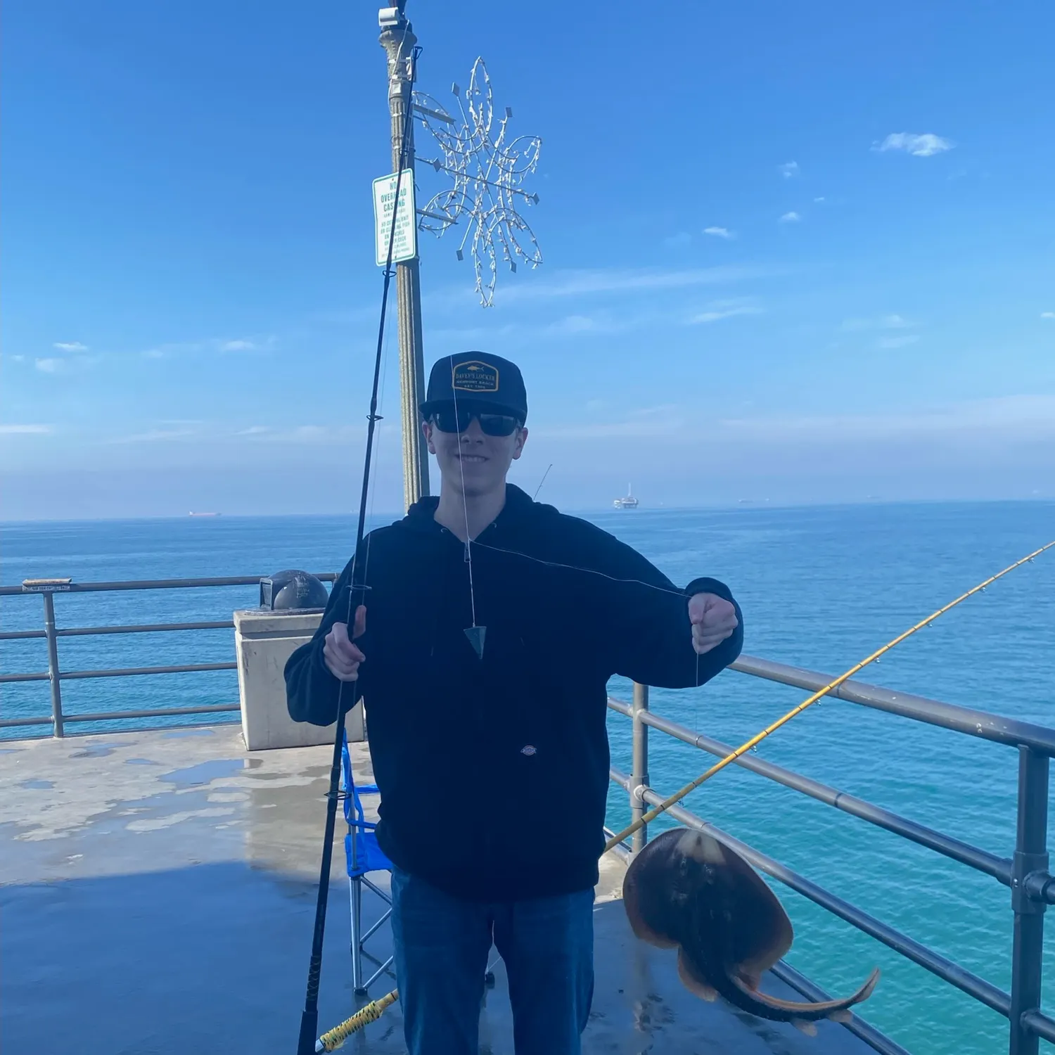 The most recent Thornback guitarfish catches on Fishbrain