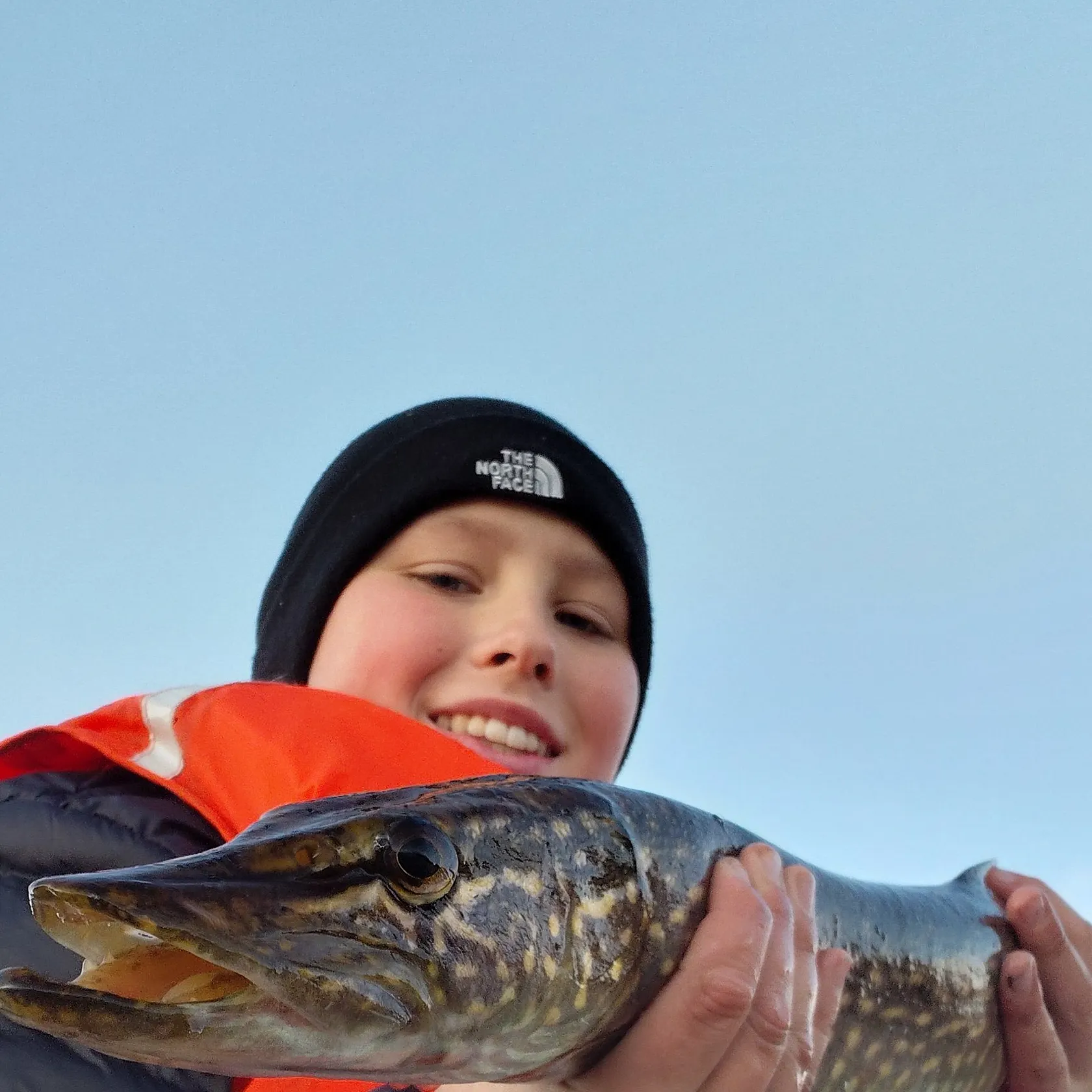 Northern pike caught on Fishbrain