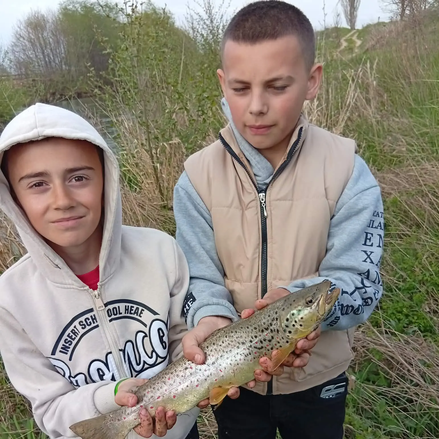 Brown trout caught on Fishbrain