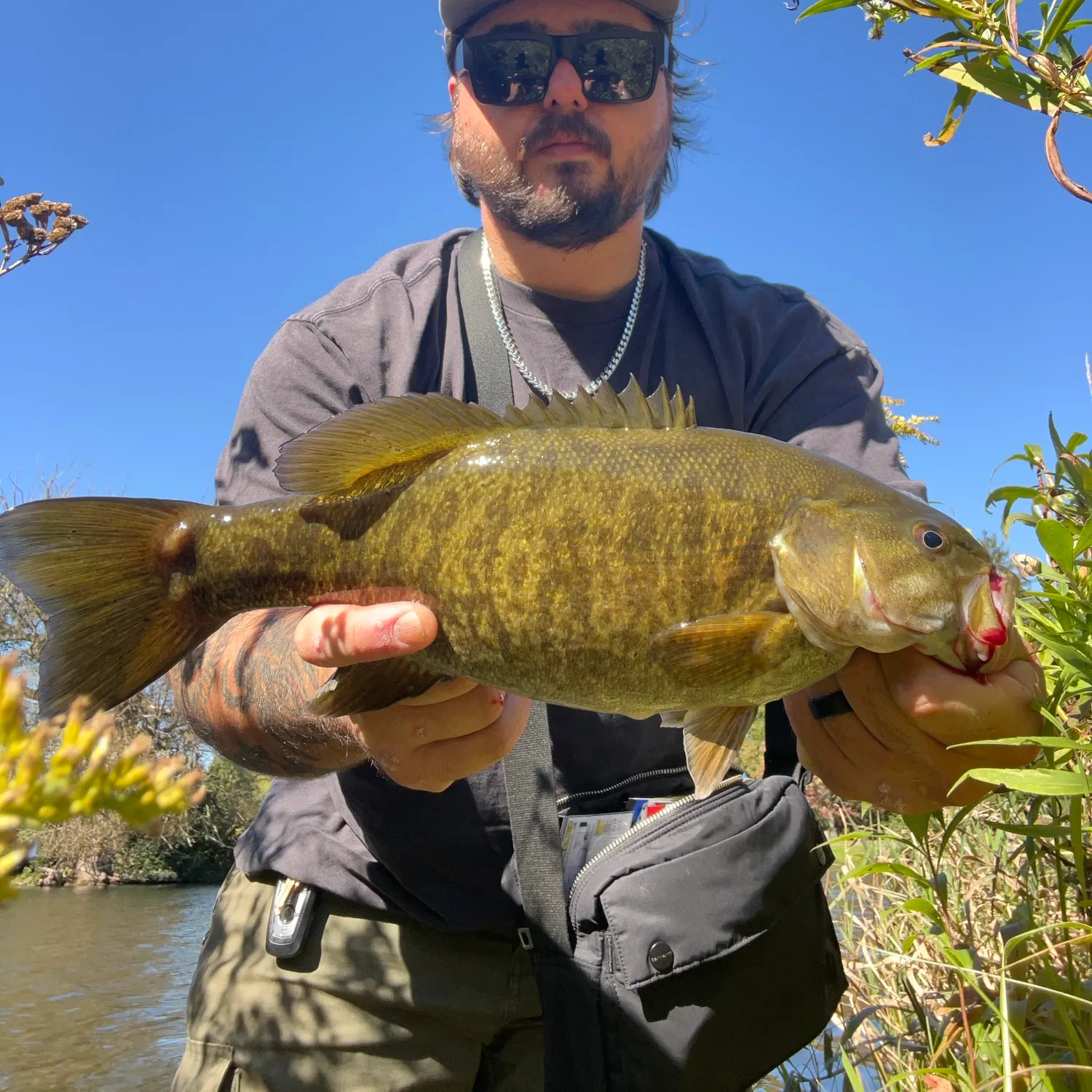 Smallmouth bass caught on Fishbrain