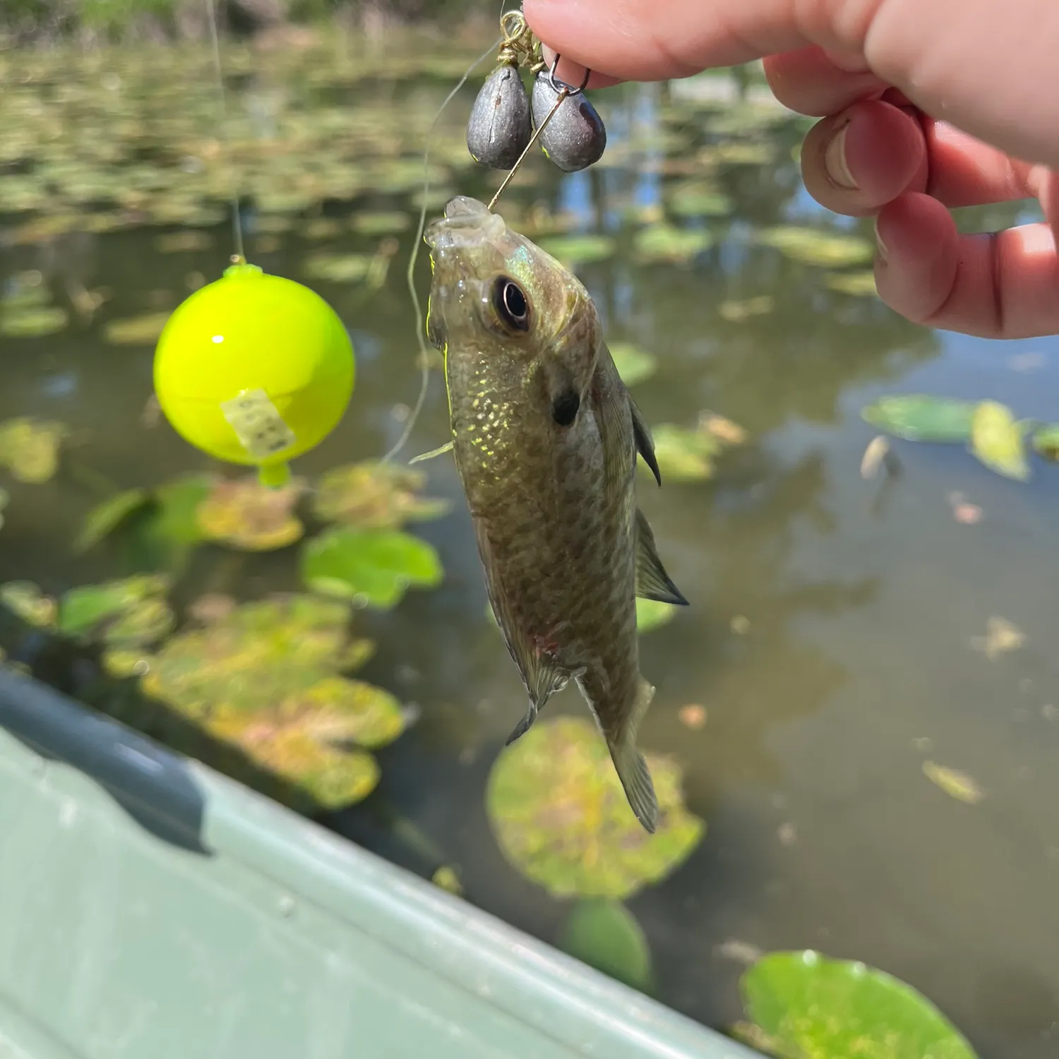 catch