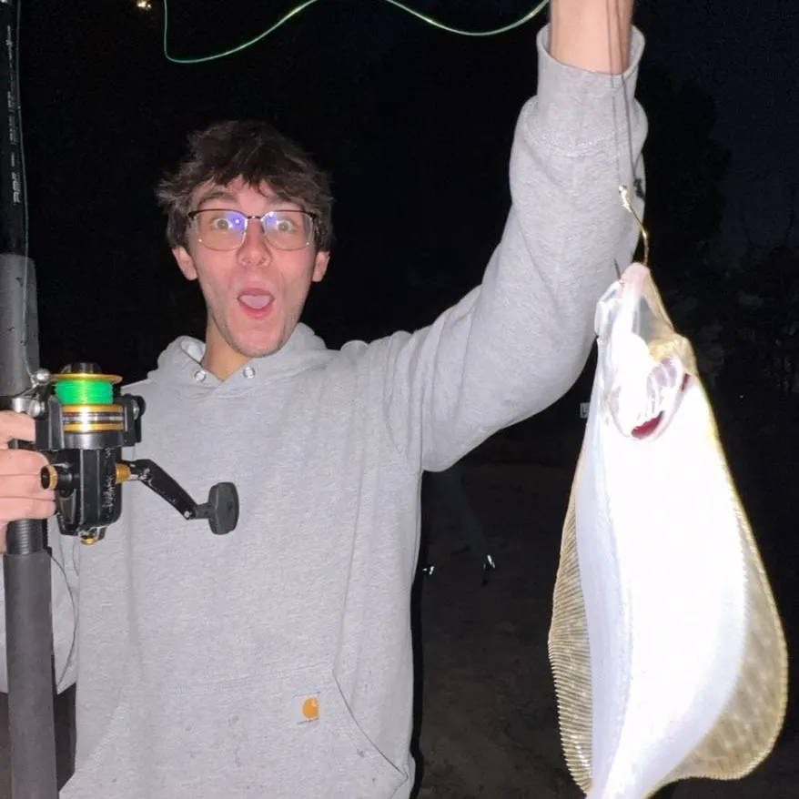 Summer flounder caught on Fishbrain