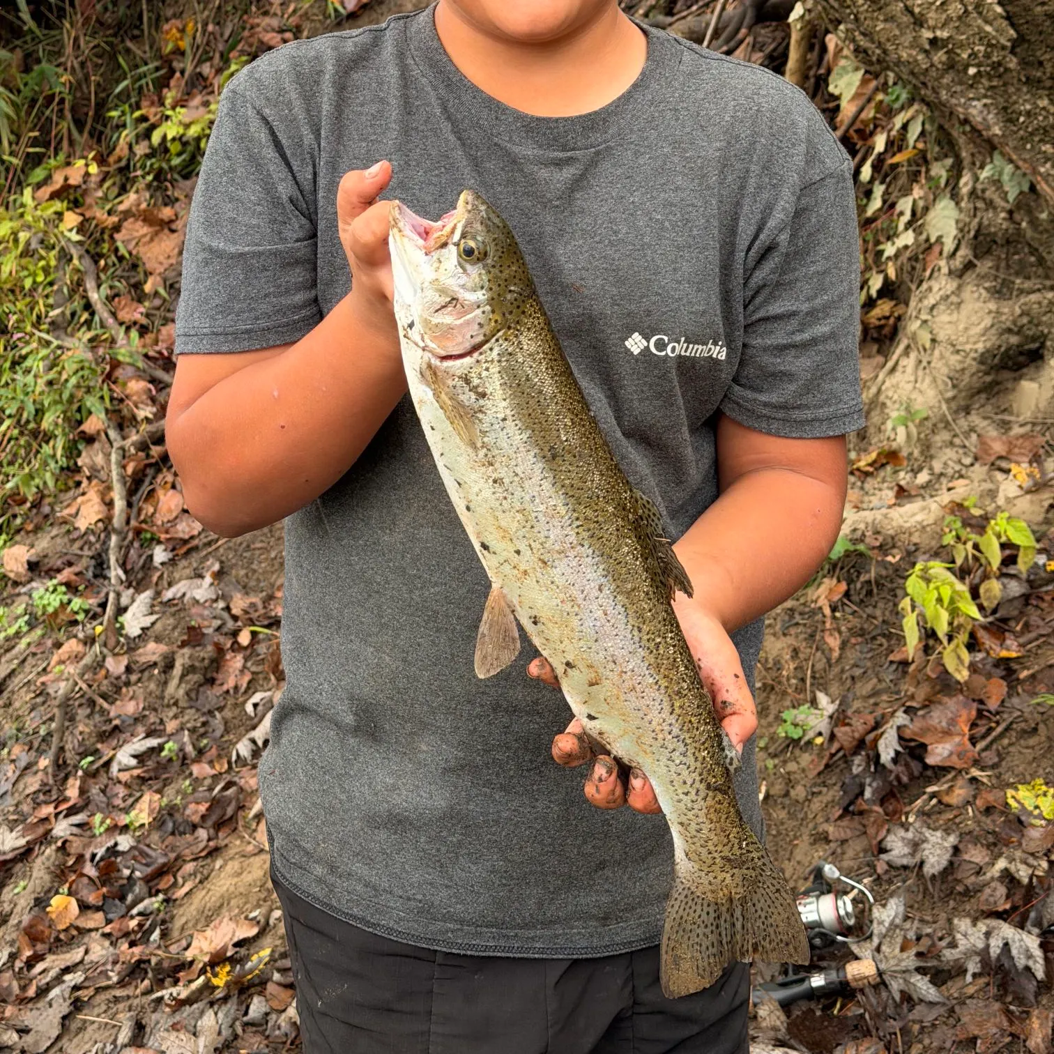 Rainbow trout caught on Fishbrain