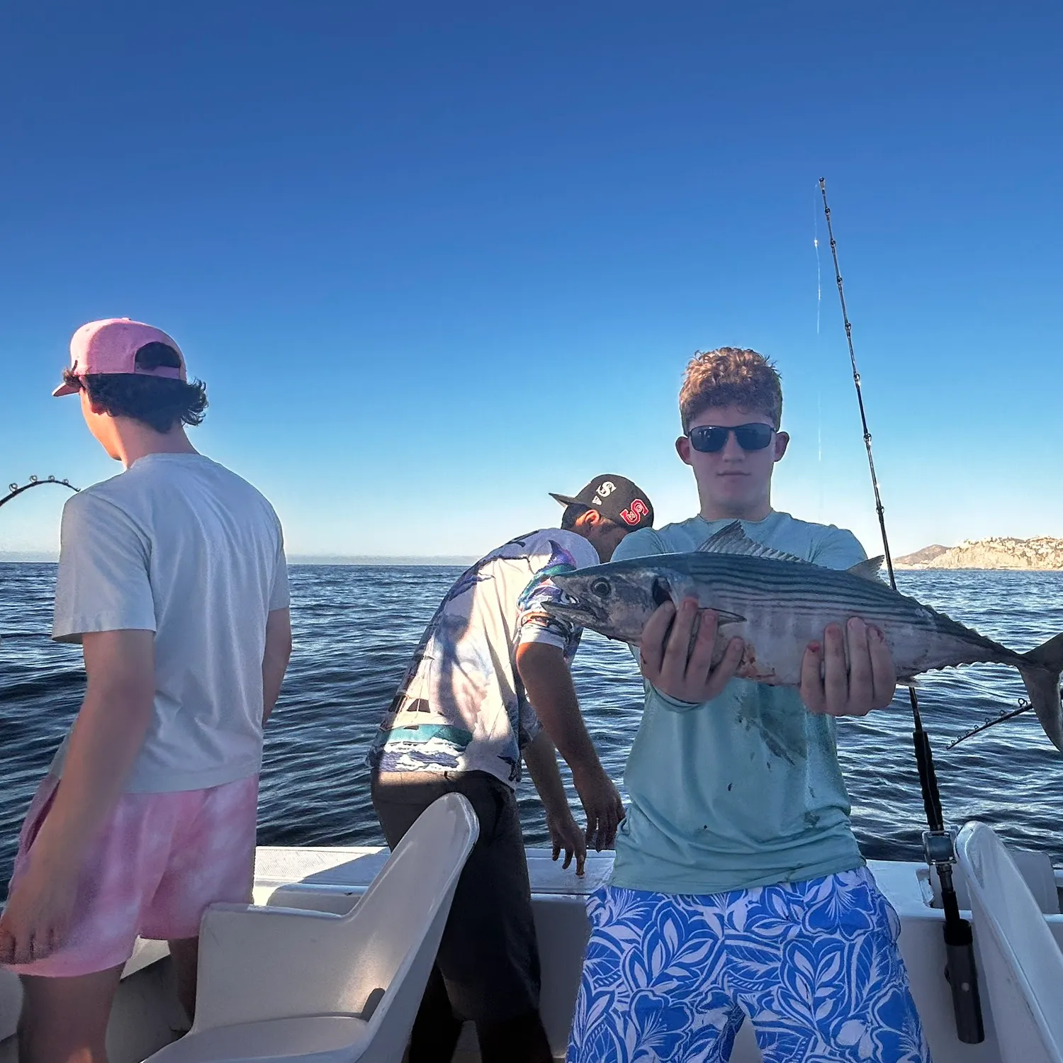 The most recent Pacific bonito catches on Fishbrain