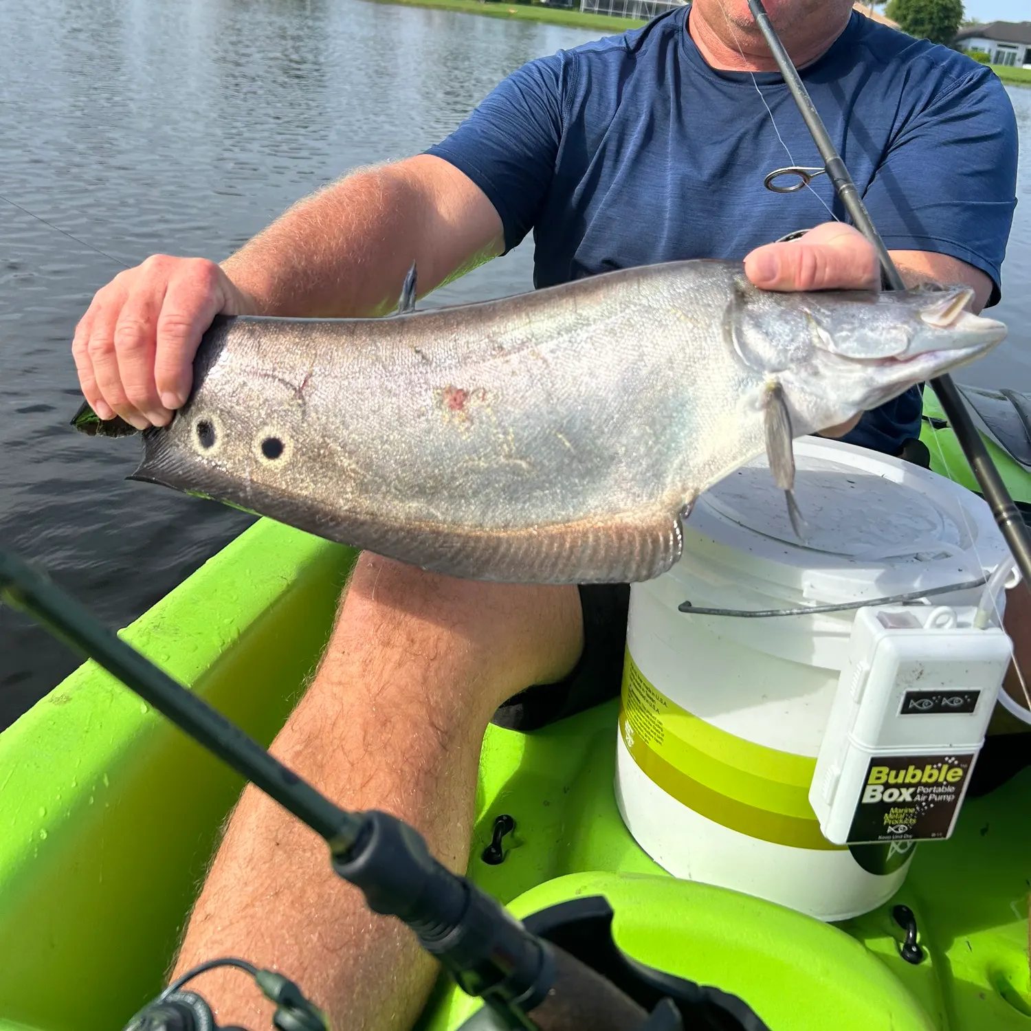 The most recent Clown knifefish catches on Fishbrain