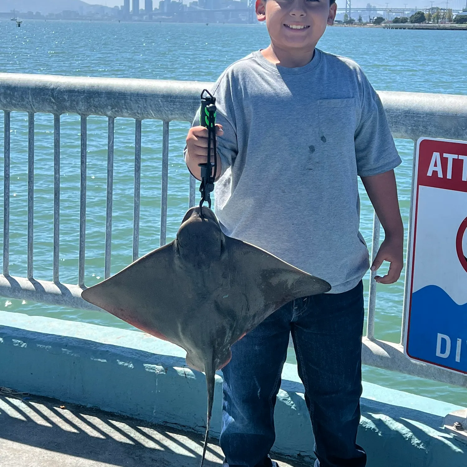 Bat eagle ray caught on Fishbrain