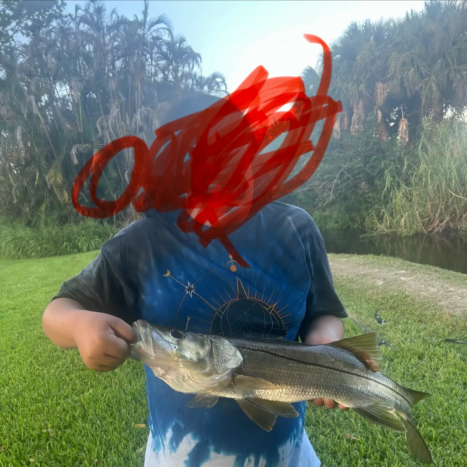 Common snook caught on Fishbrain