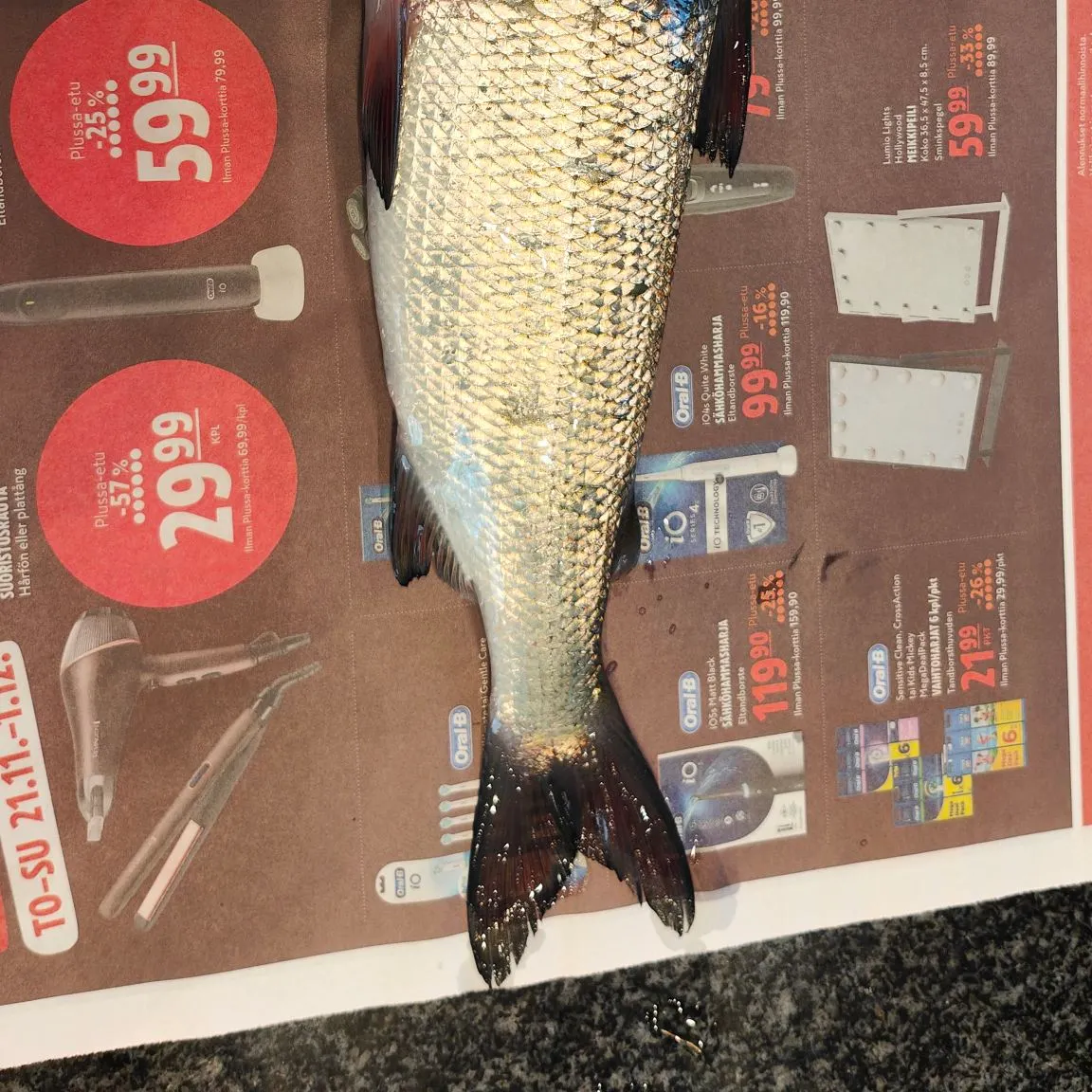 recently logged catches