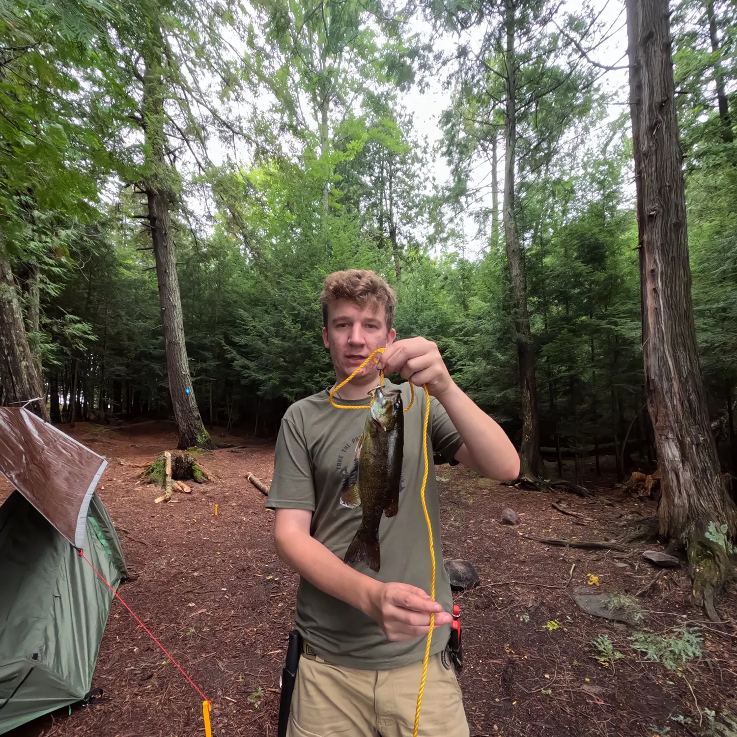 Smallmouth bass caught on Fishbrain