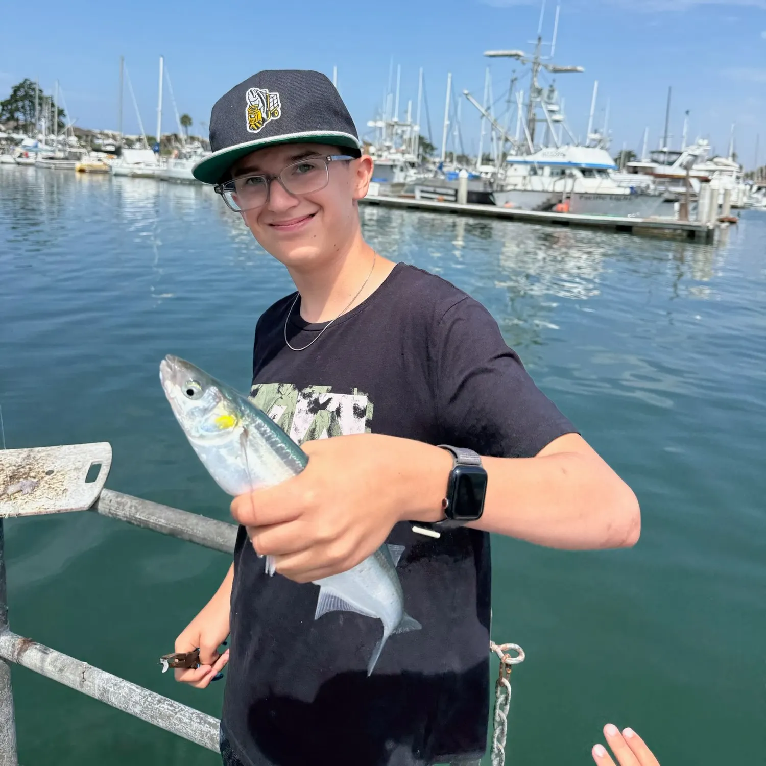 Jack silverside caught on Fishbrain