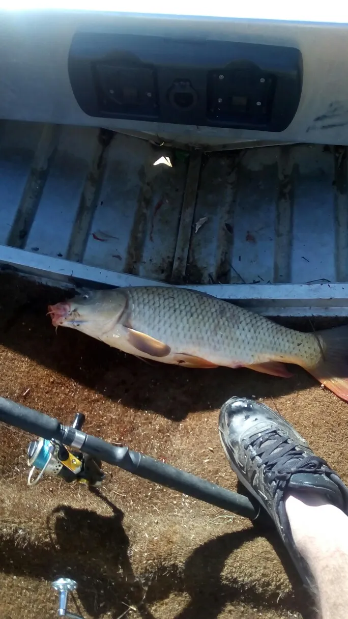 Post image from warrensmeath