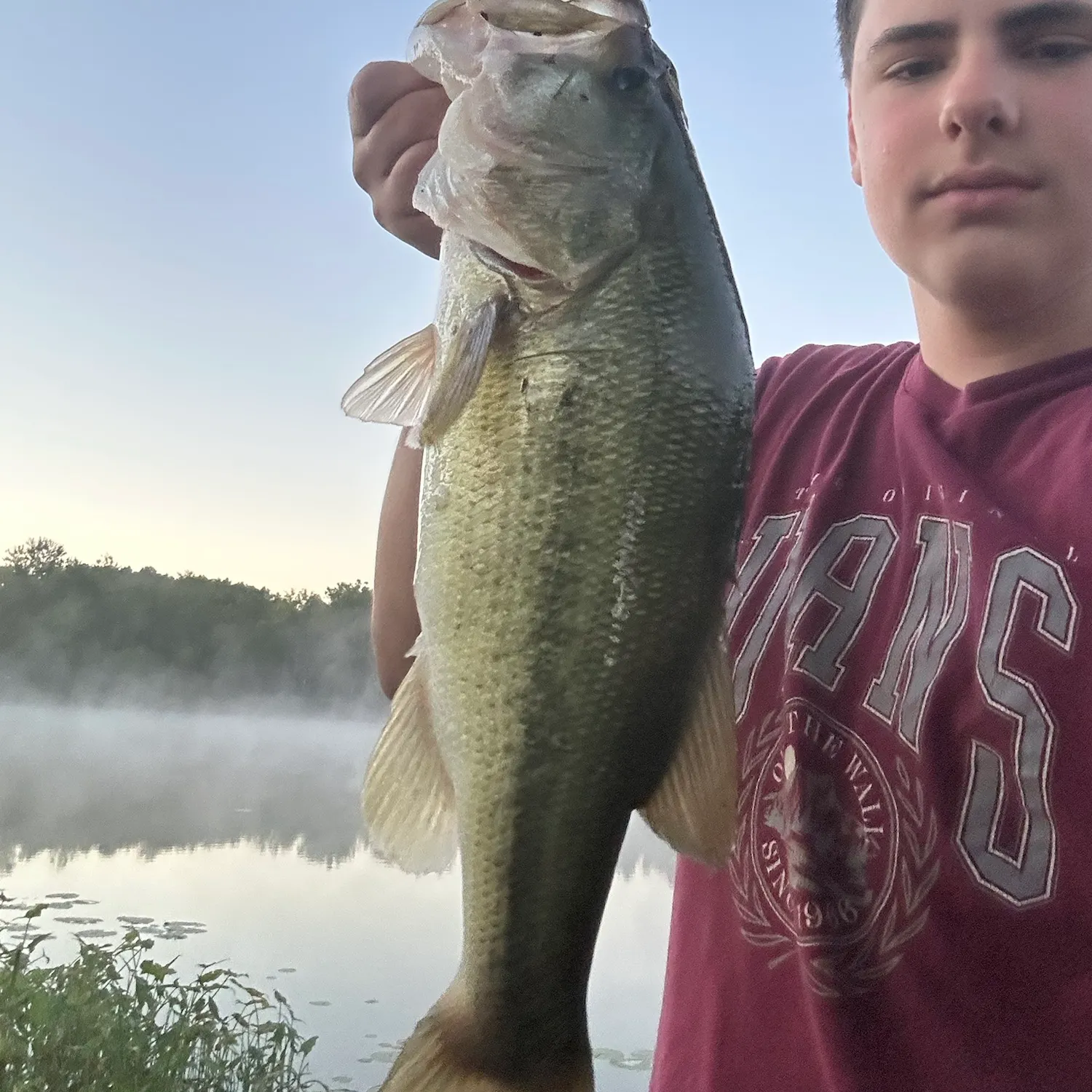 Largemouth bass caught on Fishbrain