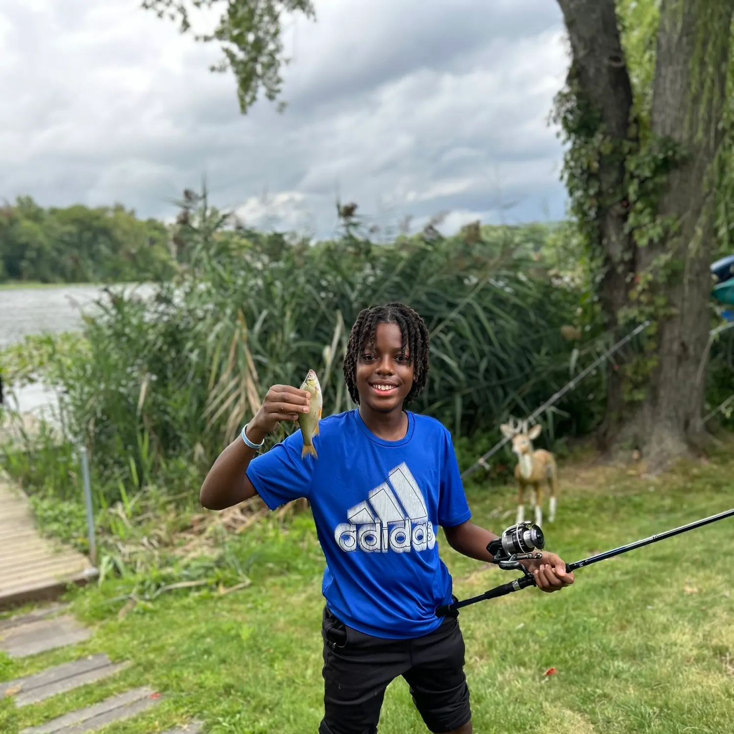 The most recent Sandbar shiner catches on Fishbrain