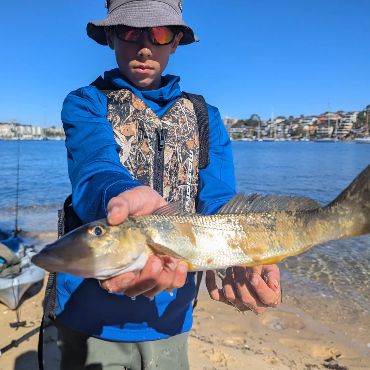 The most recent Sand sillago catches on Fishbrain