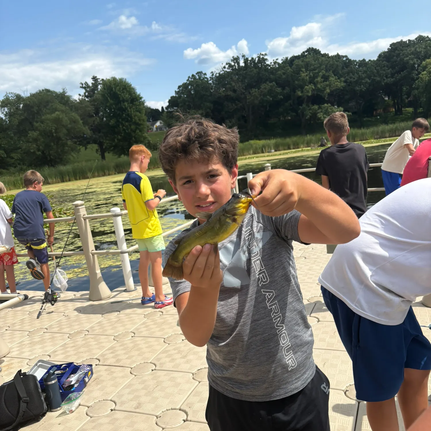 Yellow bullhead caught on Fishbrain