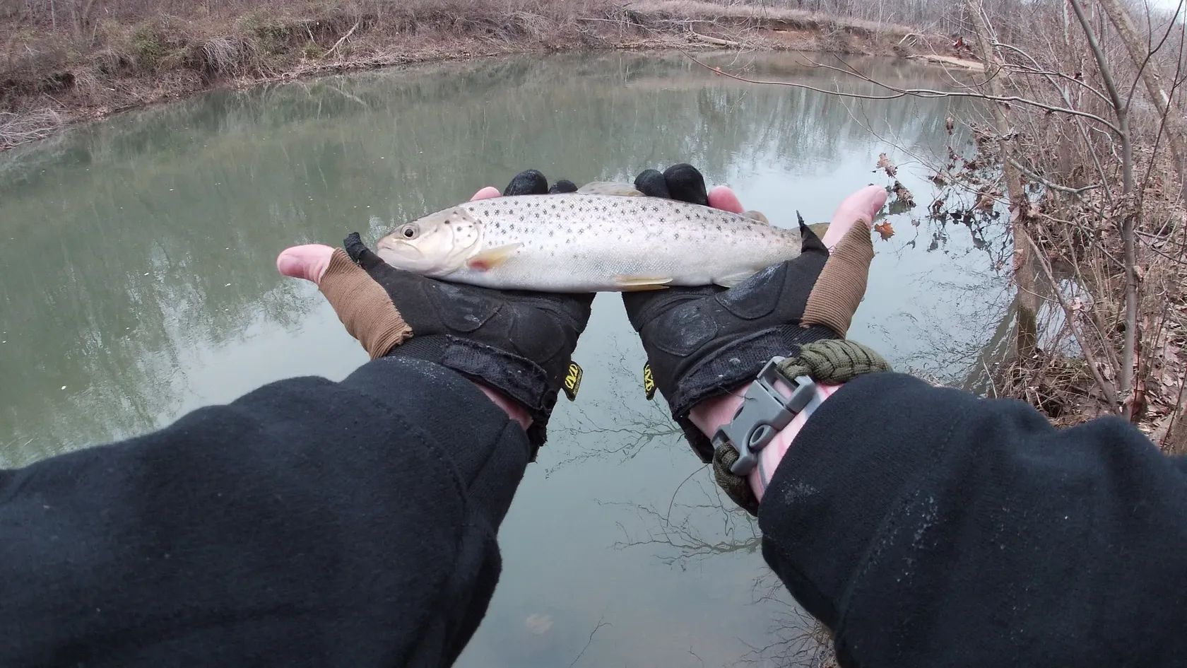 Post image from KayakSoldier