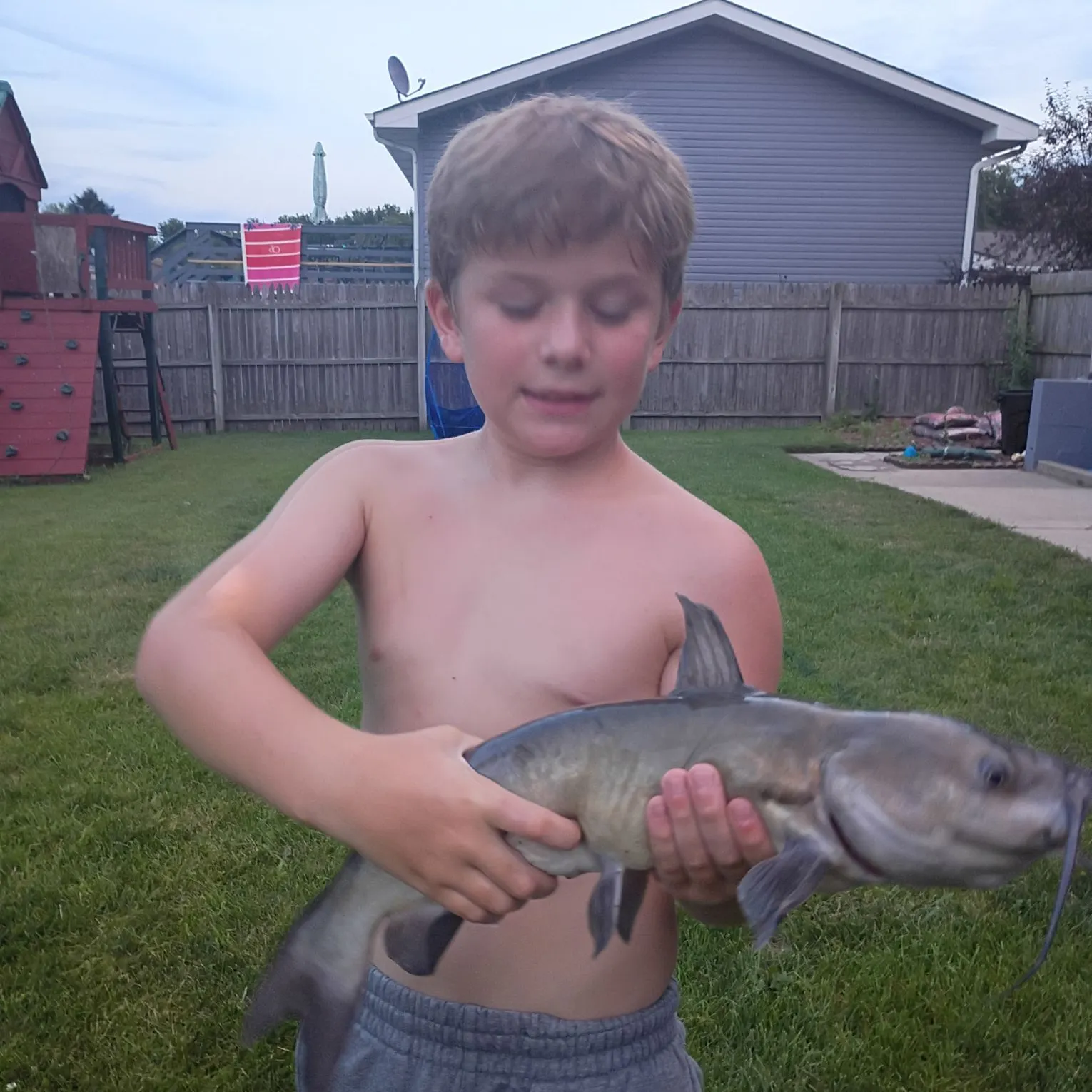 Channel catfish caught on Fishbrain