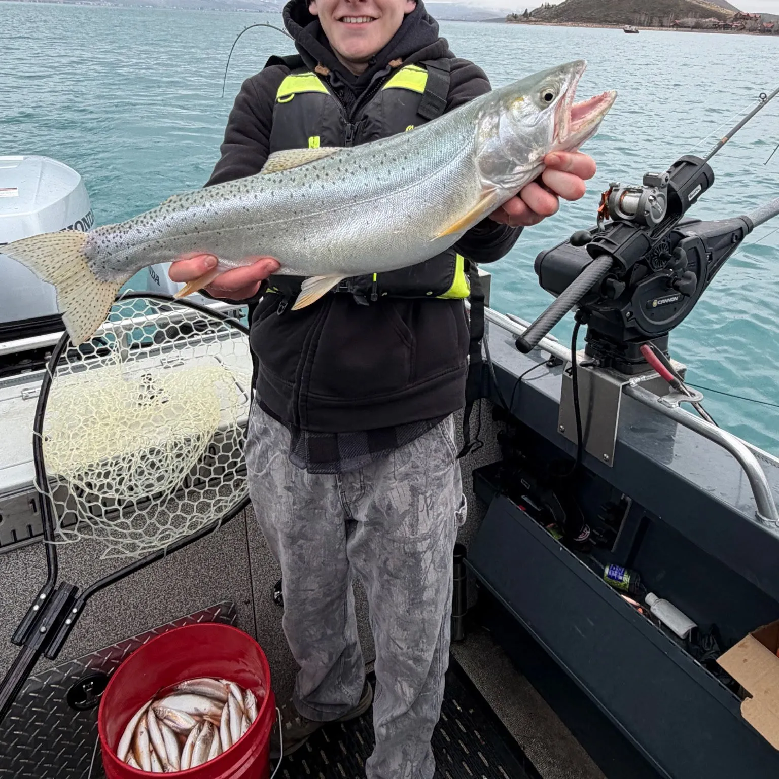 The most recent Bonneville cutthroat trout catches on Fishbrain
