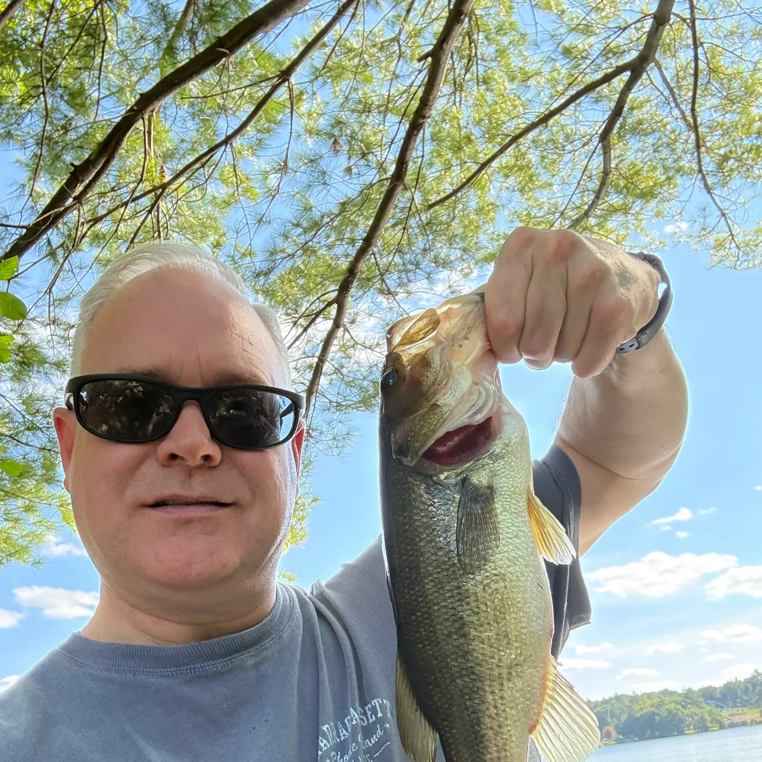 Largemouth bass caught on Fishbrain