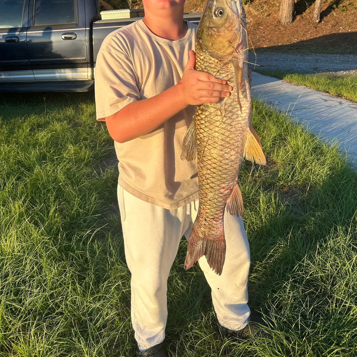 Grass carp caught on Fishbrain