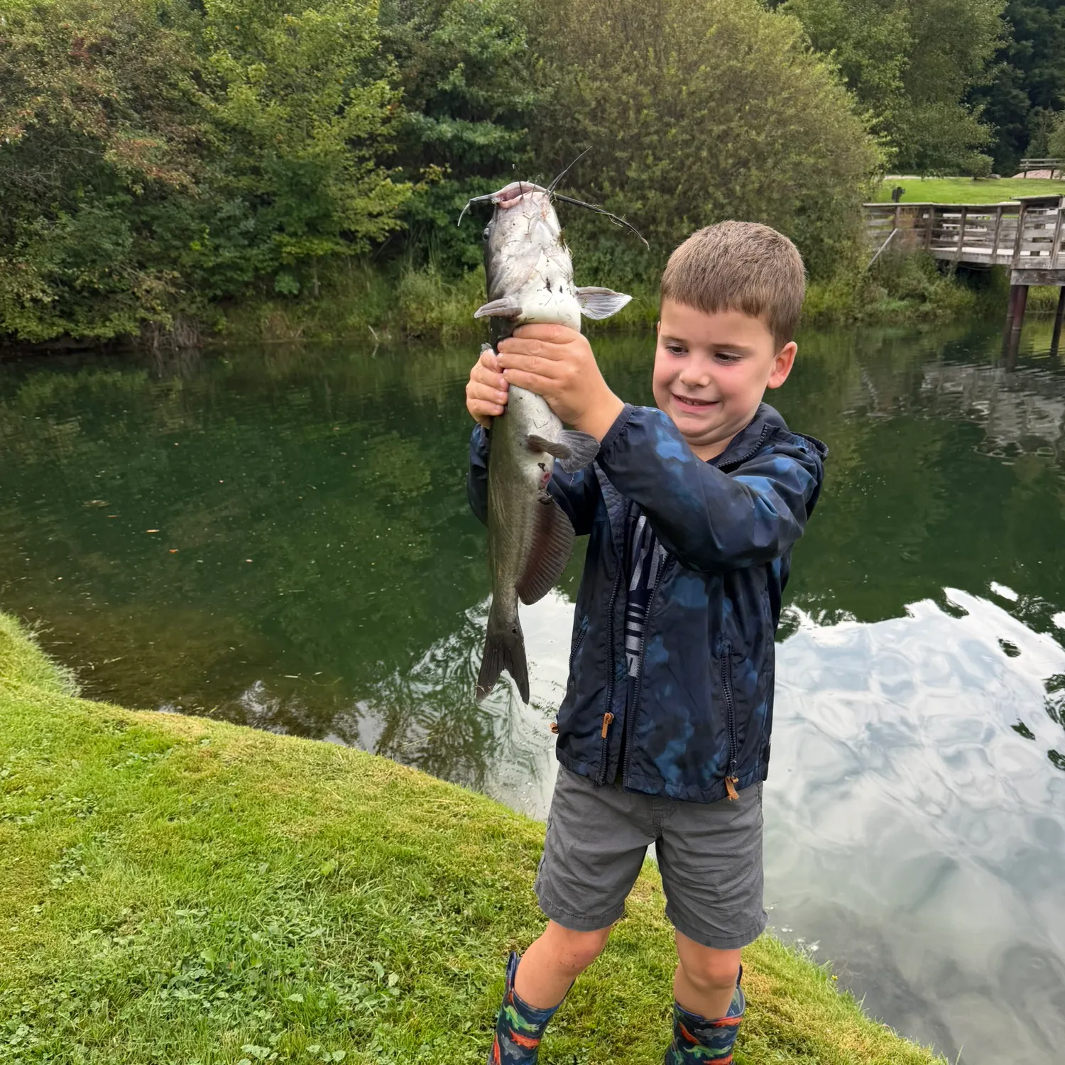 Channel catfish caught on Fishbrain