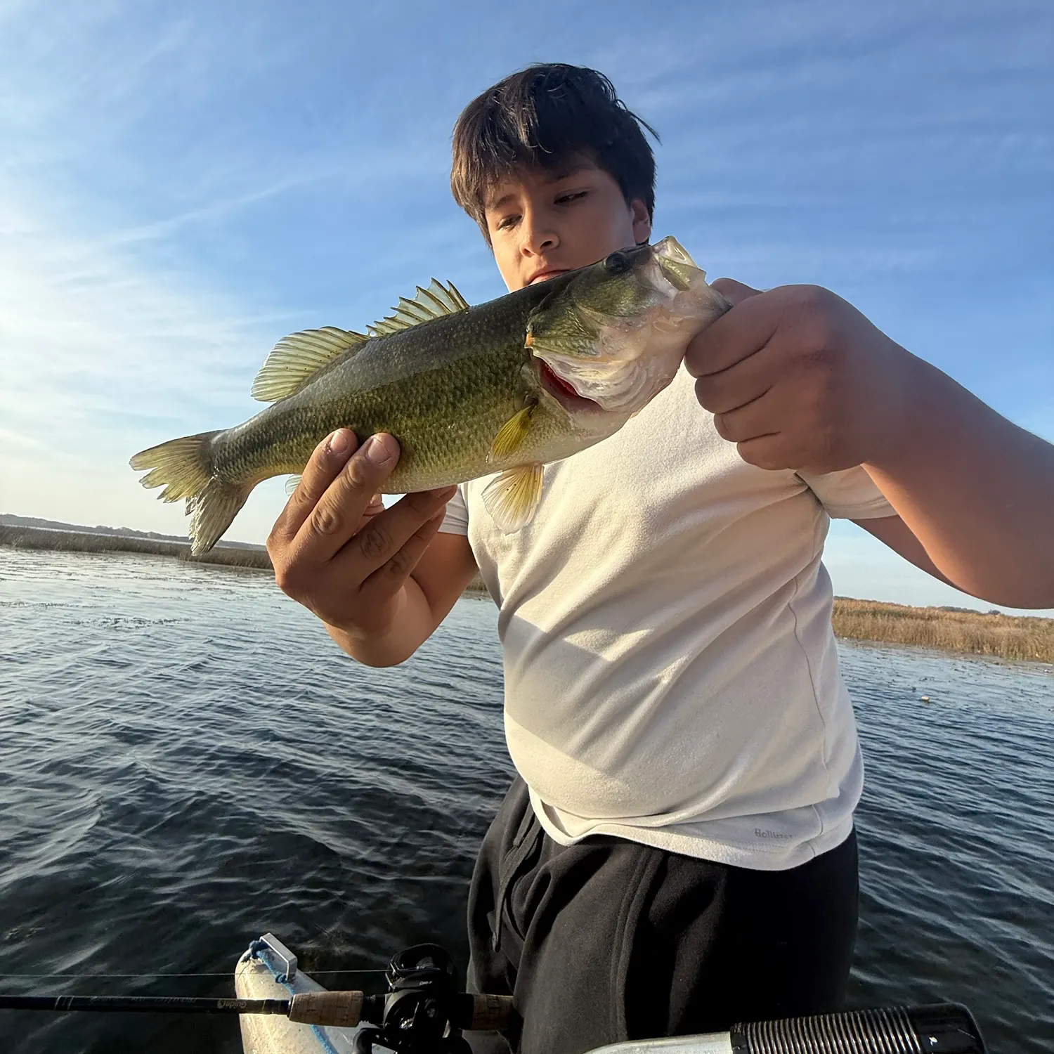 Largemouth bass caught on Fishbrain
