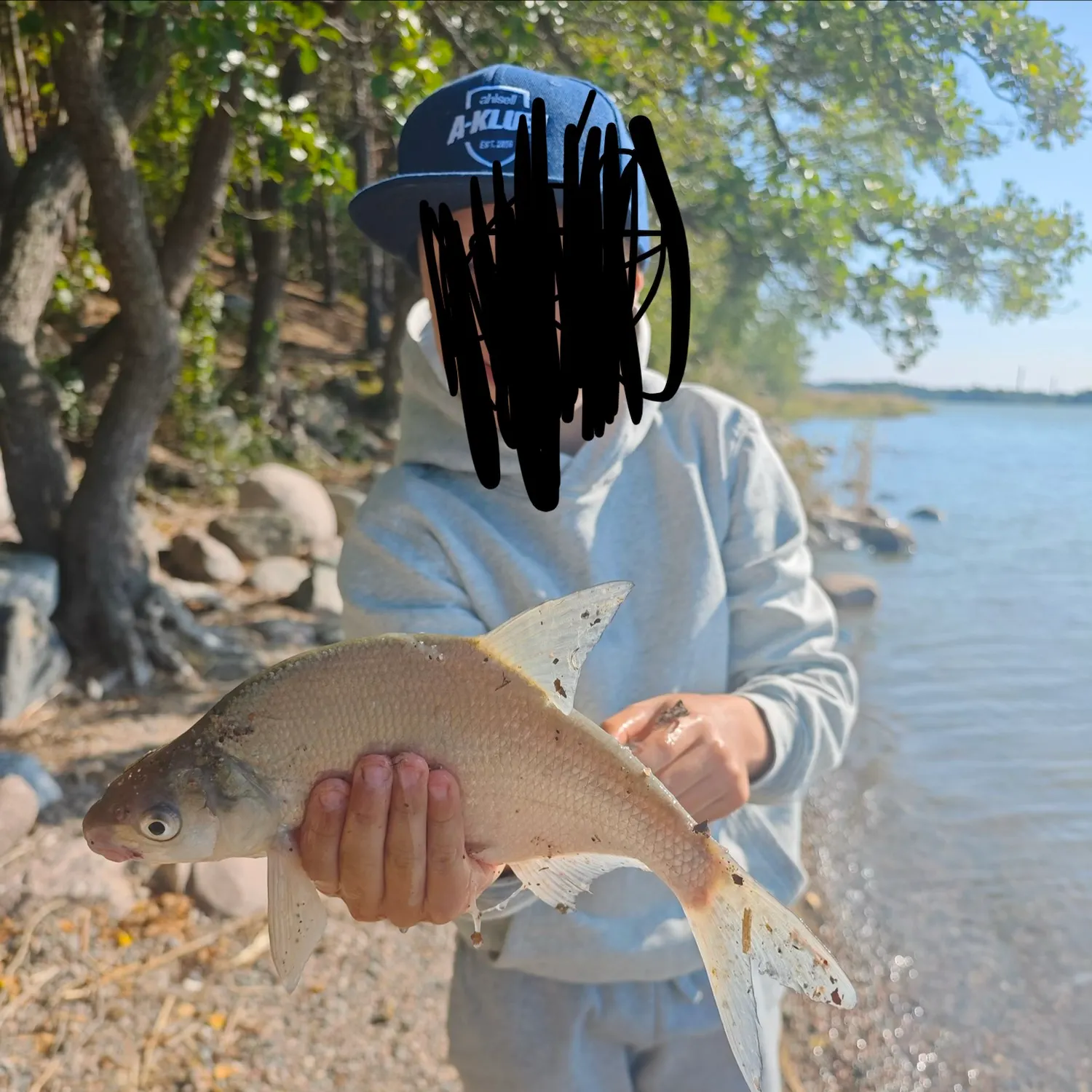Common bream caught on Fishbrain