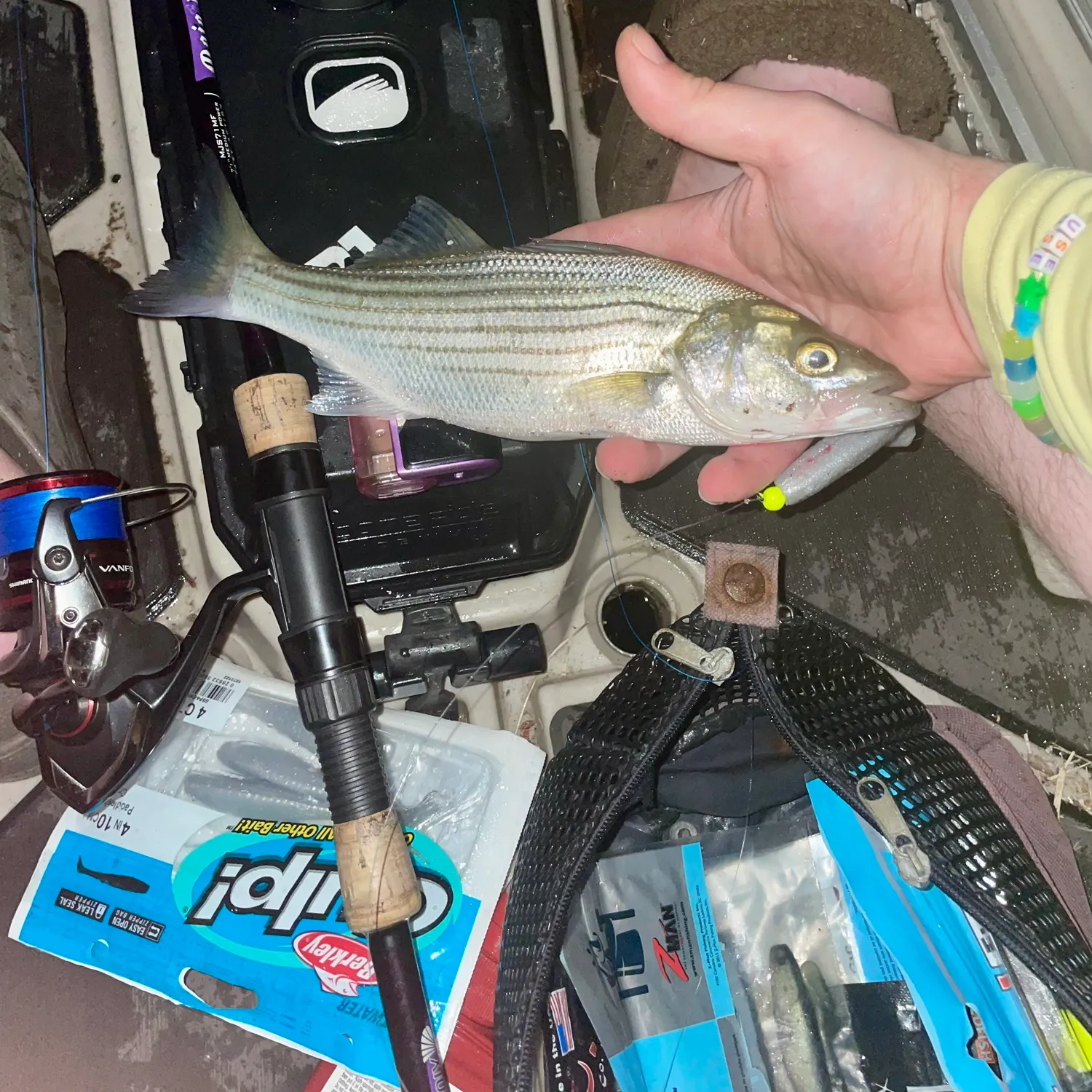 recently logged catches