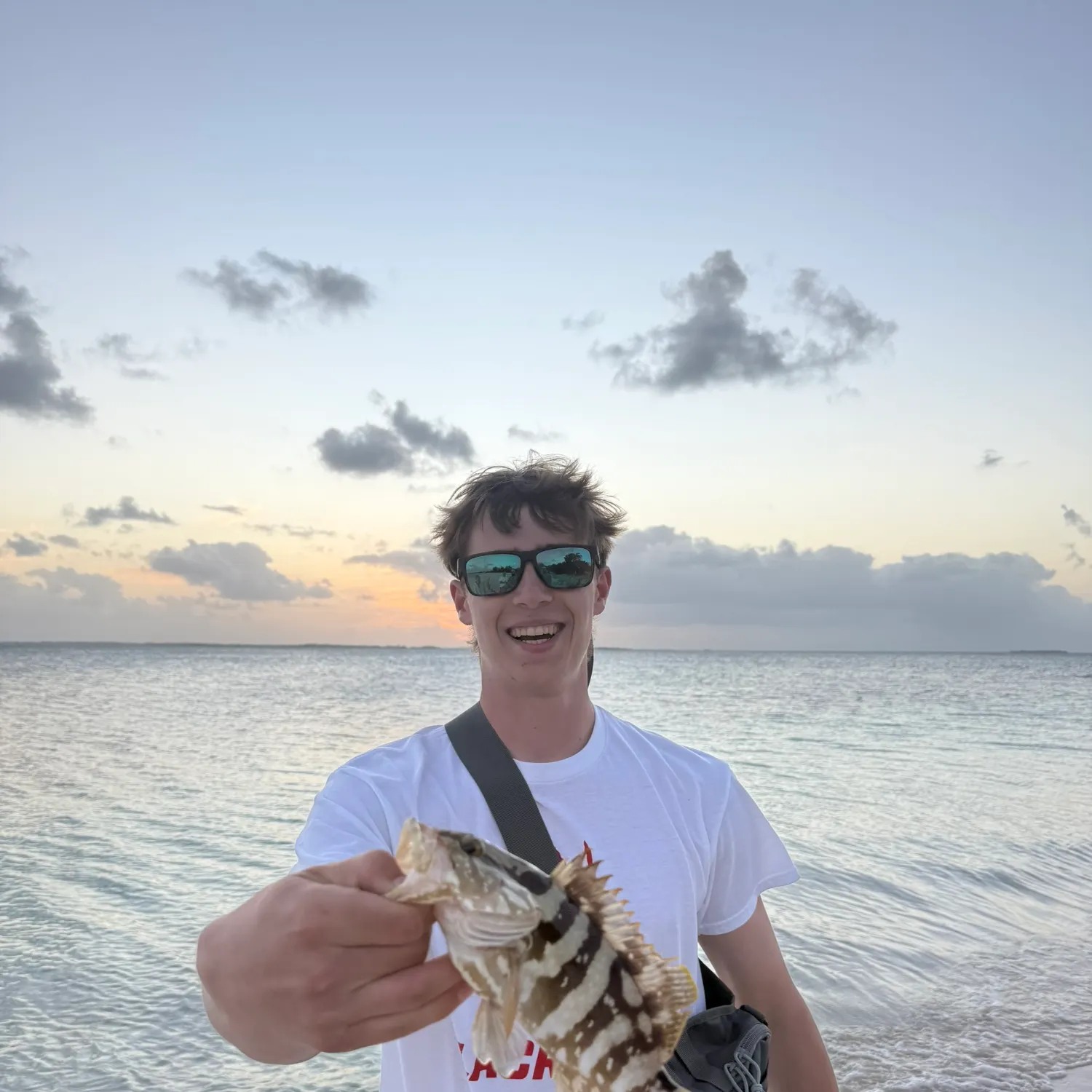 The most recent Nassau grouper catches on Fishbrain