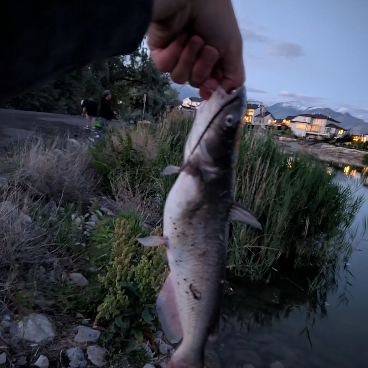 catch