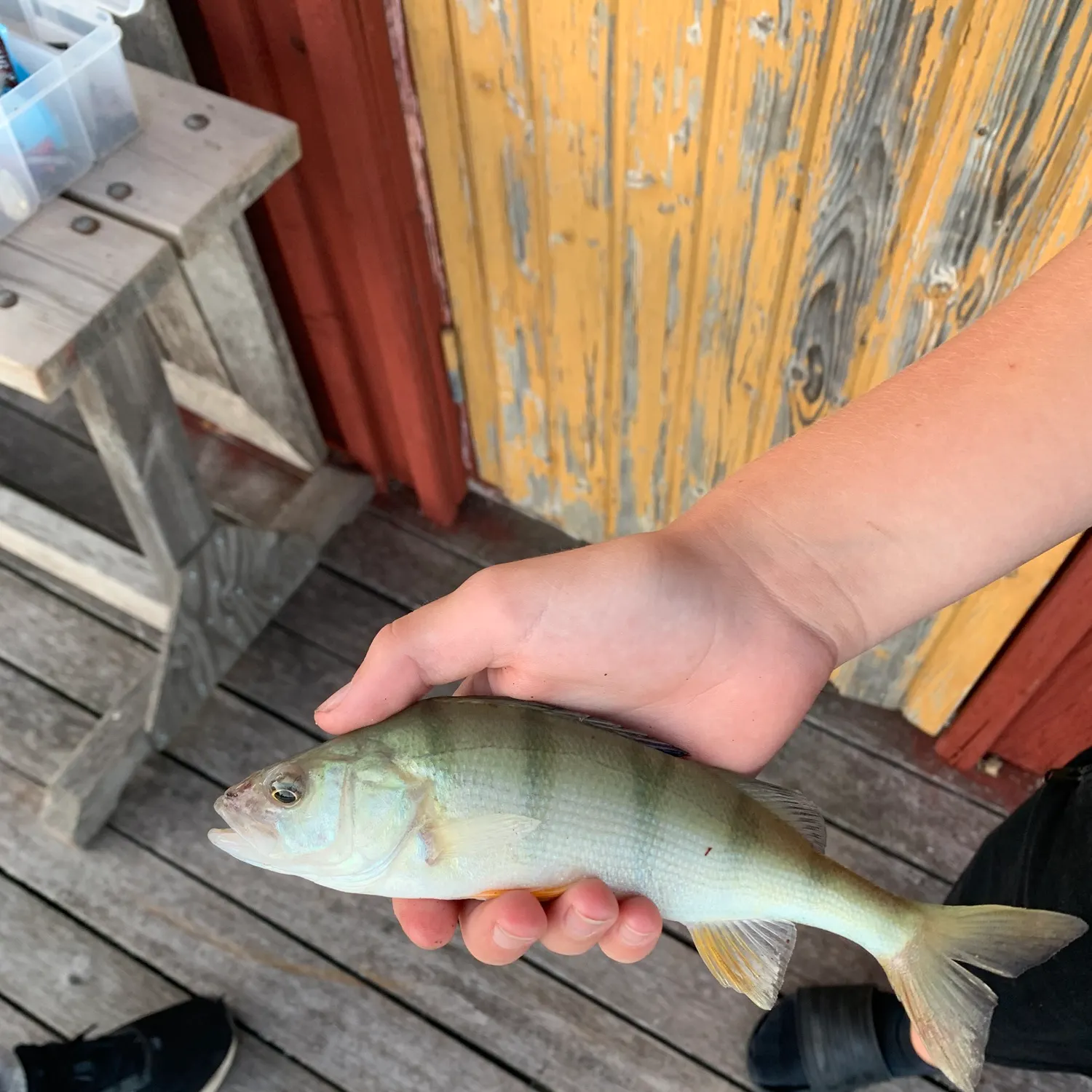 catch
