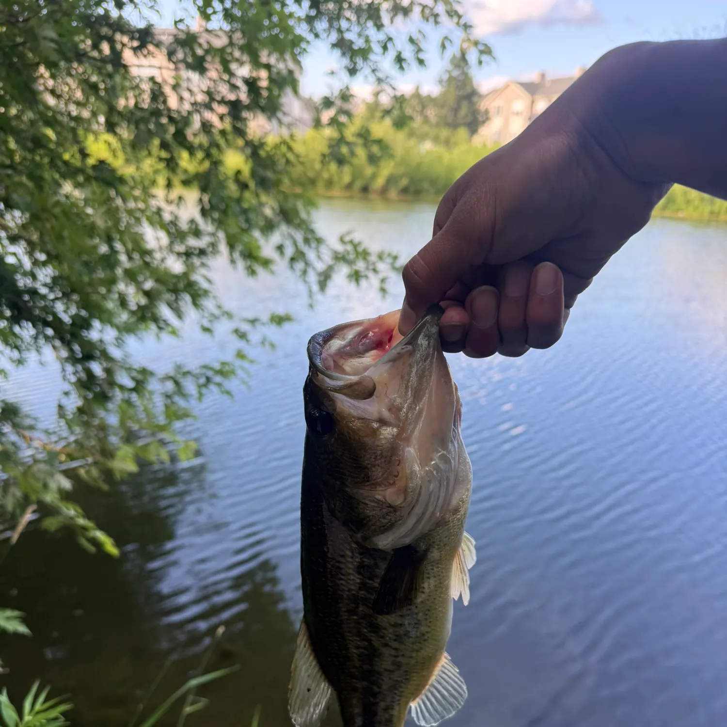 catch