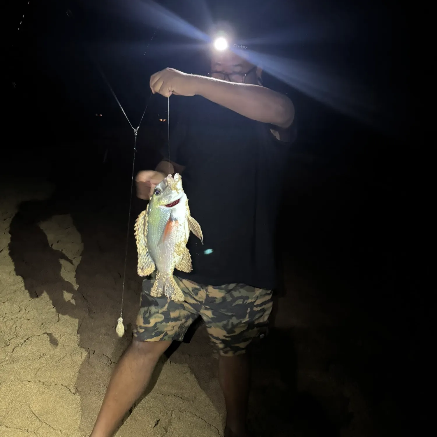The most recent Humpnose big-eye bream catches on Fishbrain