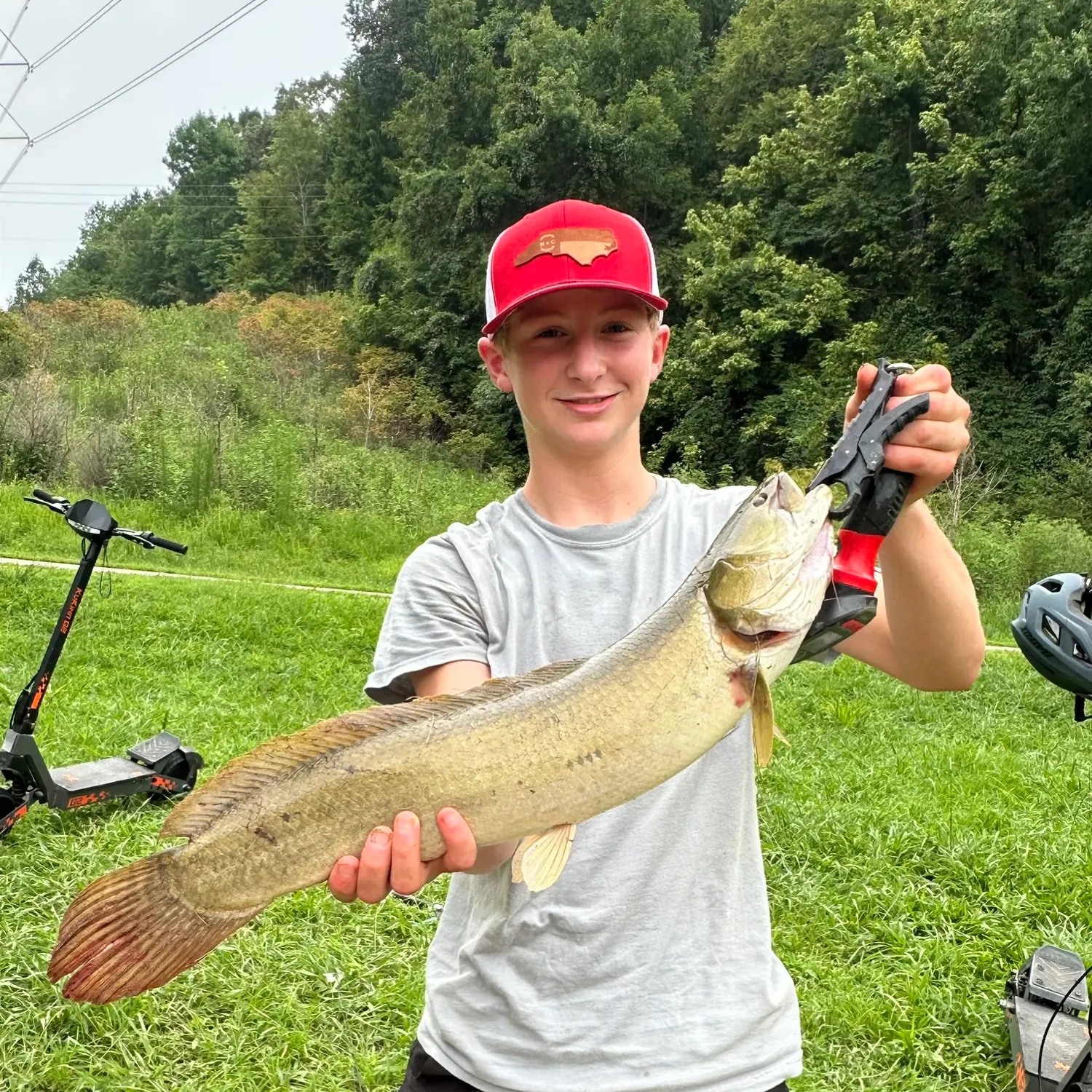 catch