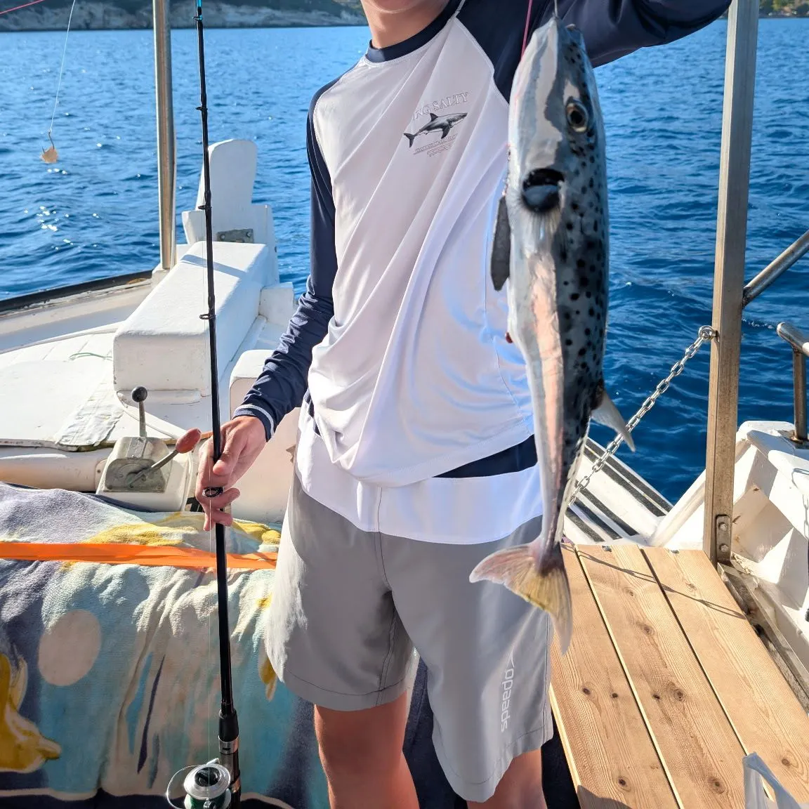 The most recent Silver-cheeked toadfish catches on Fishbrain