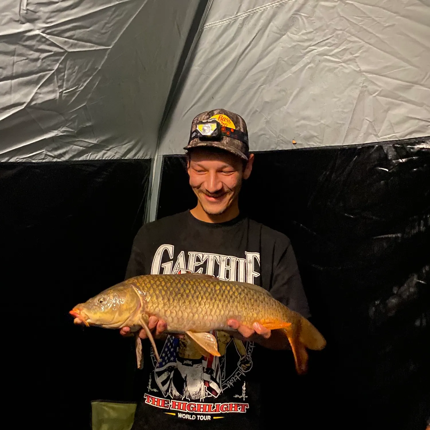 Common carp caught on Fishbrain