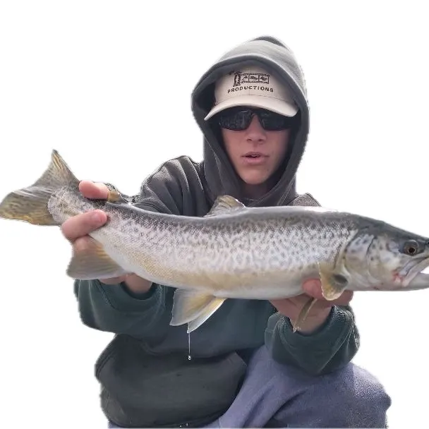 Tiger trout caught on Fishbrain