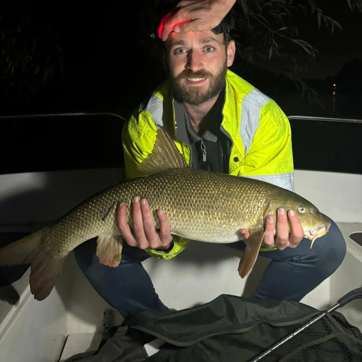 The most recent Common barbel catches on Fishbrain