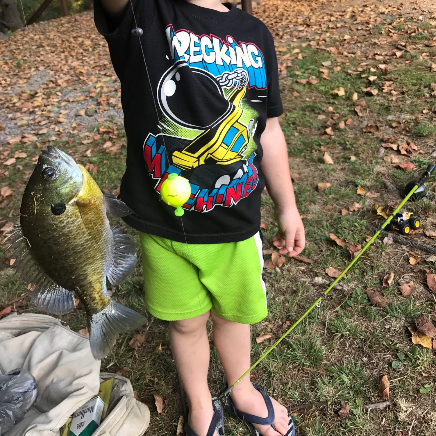 recently logged catches