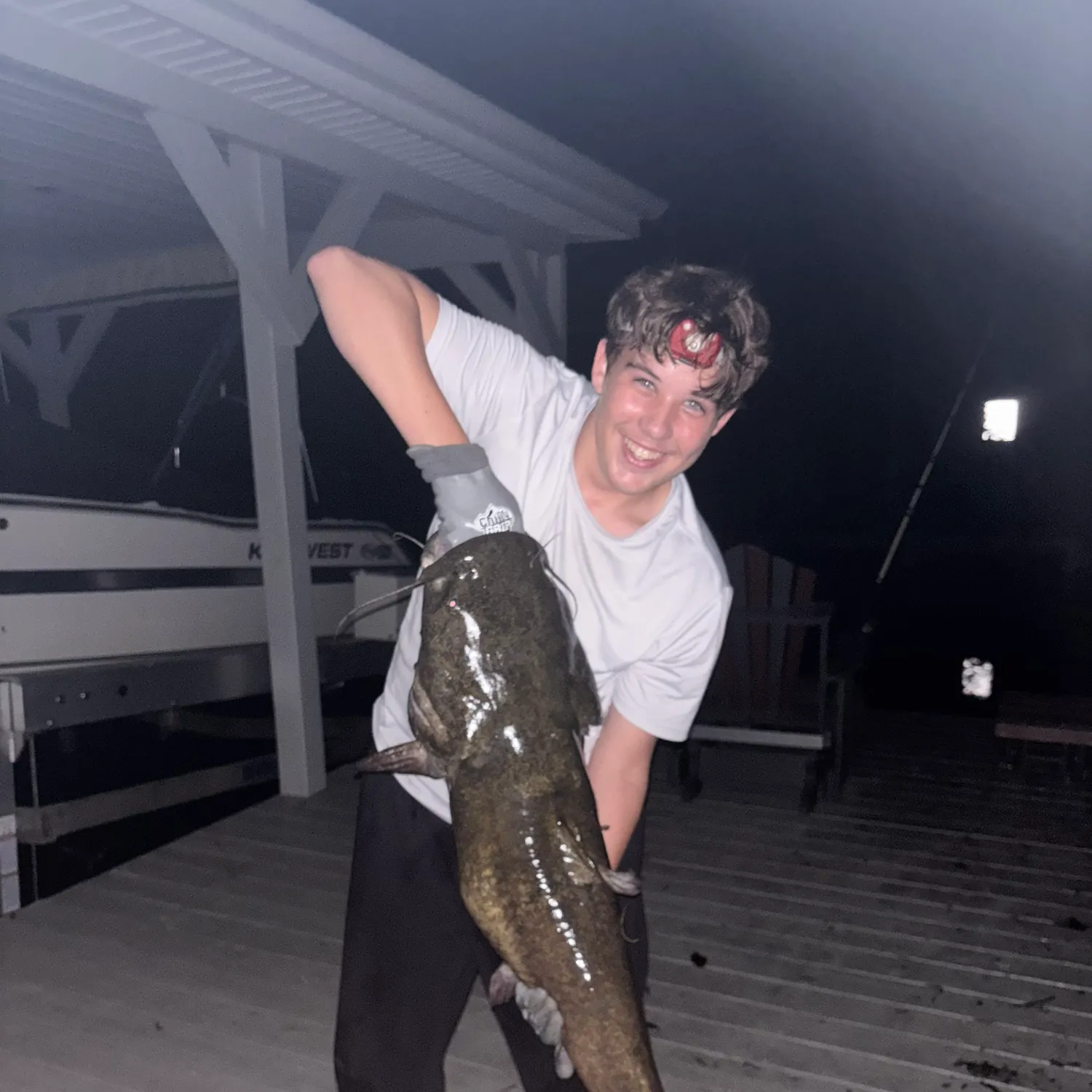 Flathead catfish caught on Fishbrain