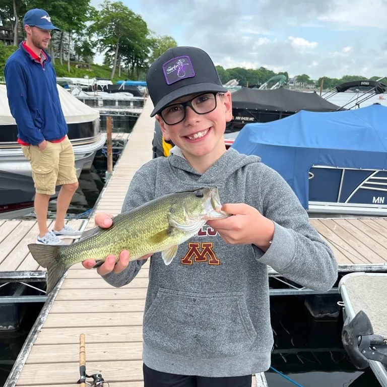 The most recent Whale shark catches on Fishbrain