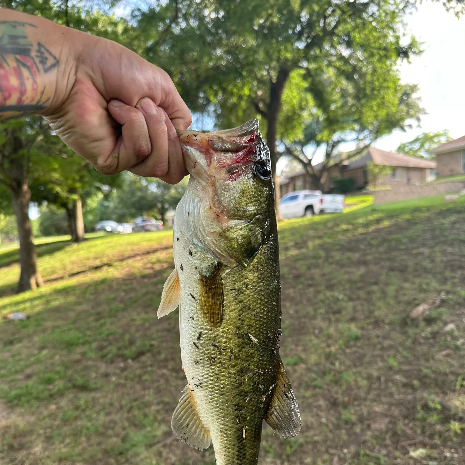 catch